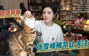 陈一发儿：随便瞎聊聊张雪峰被禁止关注