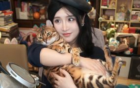 太好了，我满仓待涨