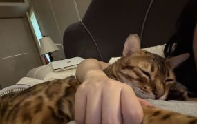 今天-27w，泥沙俱下，不想说话😩😩