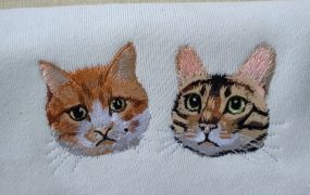 最近世界太乱了，还是要祝大家平平安安元宵节快乐，还有最可爱的小猪咪生快🥰🥰 ​​​