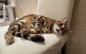 今天撒事体哪能全世界一起砸啊😭😭😭