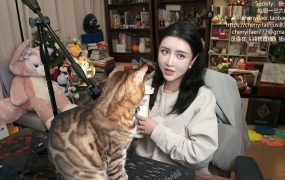 陈一发儿：~❤世界和平两周，恭喜各位巴菲特❤~ （20260408）