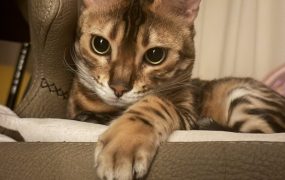 今天大A居然只亏了三万不到，等于我血赚啊。