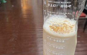 实际：回本＋毫无训练痕迹