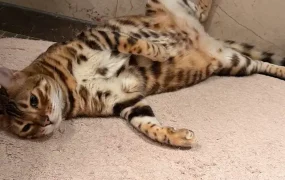 Happy International Women's Day!❤️❤️