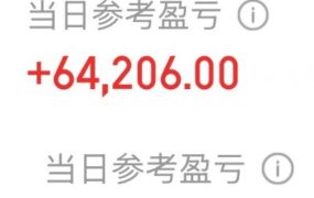 今天浮盈10w，我就说嘛，差不多要反弹了嘛。