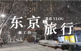 陈一发儿：电竞博主尝试一下旅行vlog ——大雪的东京