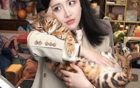 “联盟和部落间脆弱的和平协议”😇😇