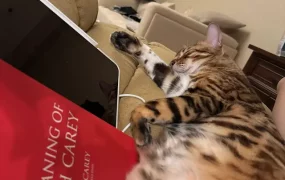 滴健身卡