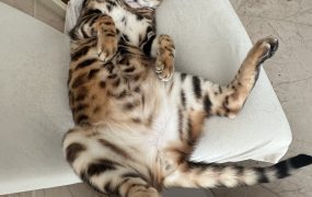 没事我心态好，坚持价值投资！长期持有！