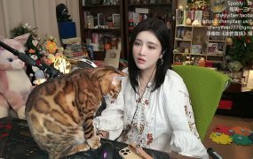 陈一发儿：~❤今天播完了停播给自己放个假，下次开播会有预告唷❤~ （20251115）