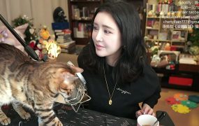 陈一发儿：~❤周一放映室~佳片有约~今天看点儿啥❤~ （20251215）