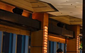 真不知道其他人是怎么保持积极向上活力满满精力充沛的……