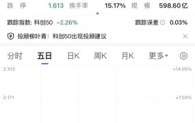 早上把之前抄底的科创卖了一半，这市场太吓人了。