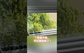 陈一发儿：只要去国外旅游，就会不停有人问你……😁😁