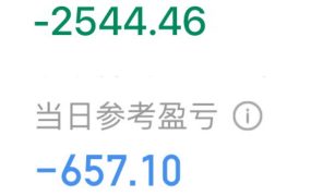 今天没咋盈利，大家放心。