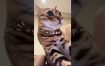 陈一发儿：猫坏人好！