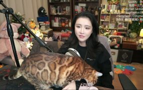 陈一发儿：~❤周一放映室~佳片有约~今天看点儿啥？❤~ （20260223）