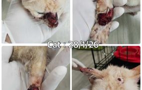 好消息好消息！今天只亏了10万～！