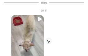 泰国救助小猫更新🥺